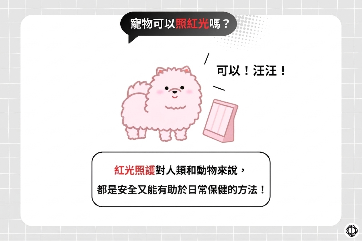 飼主與寵物一起享受紅光照護的居家光照時光。
