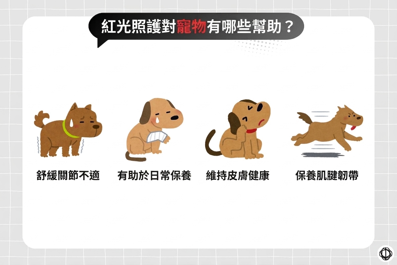 飼主與毛小孩一起享受紅光照護的居家放鬆氛圍。