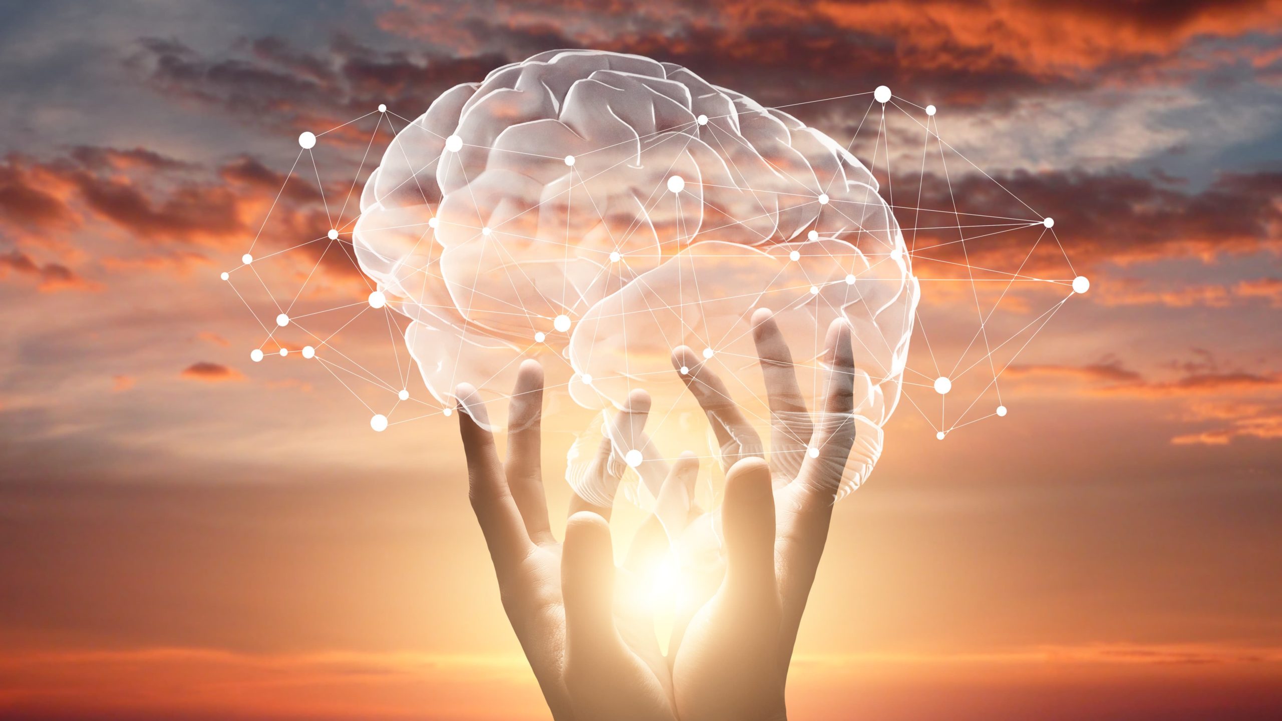 雙手托舉大腦與神經網絡,象徵冥想提升智慧與大腦連結。
