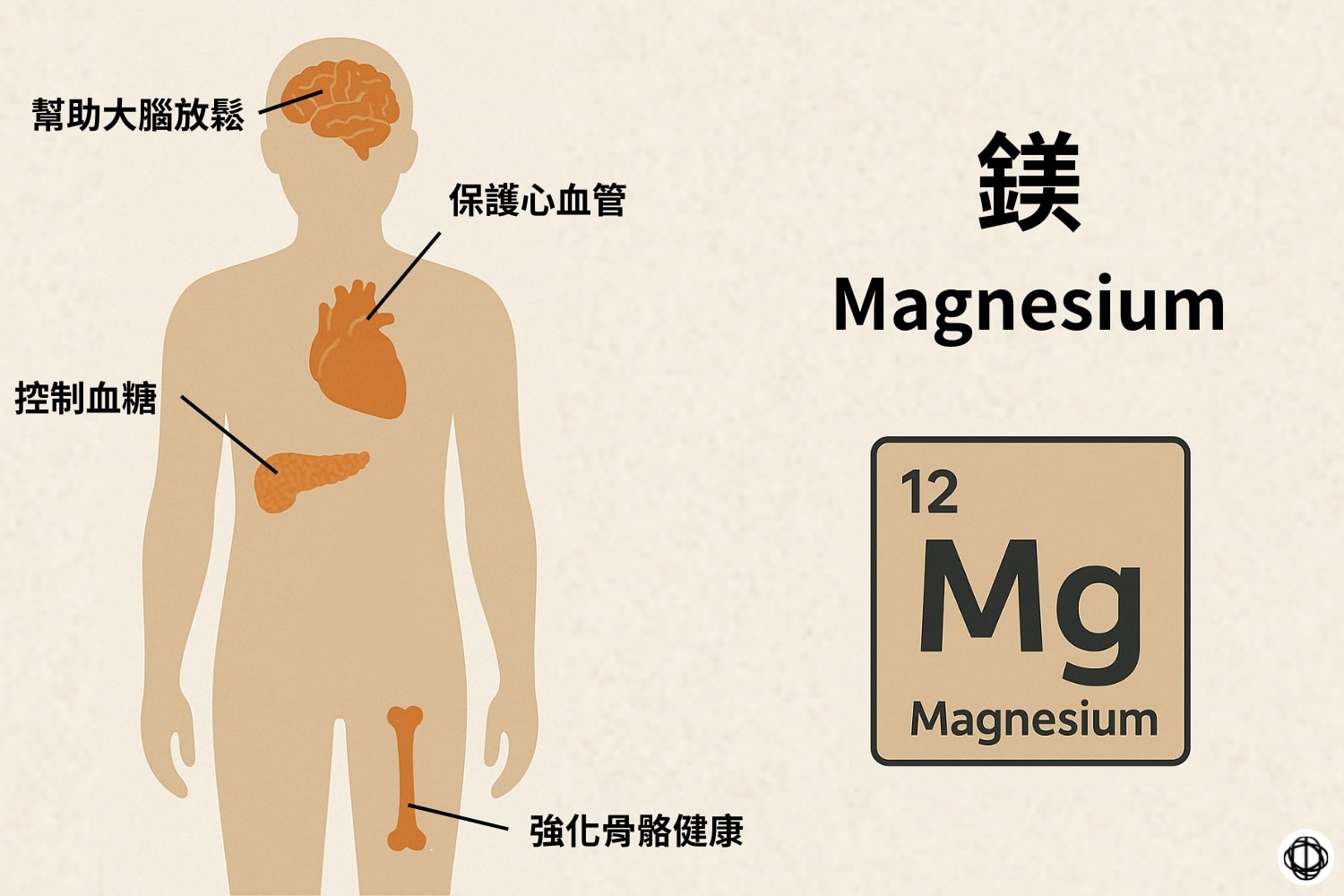 鎂(Magnesium)可以幫助放鬆大腦、保護心血管、控制血糖,以及強化骨骼健康。