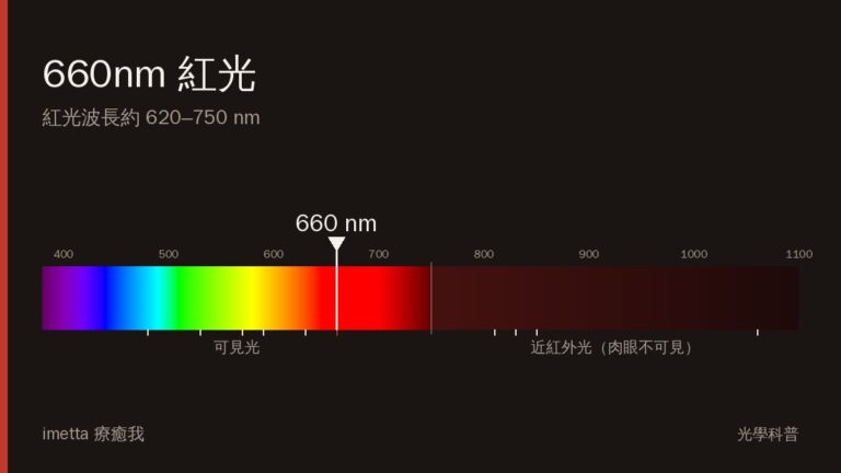 紅光波長是多少?認識 660nm 紅光與常見波長規格